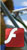 Flash Video